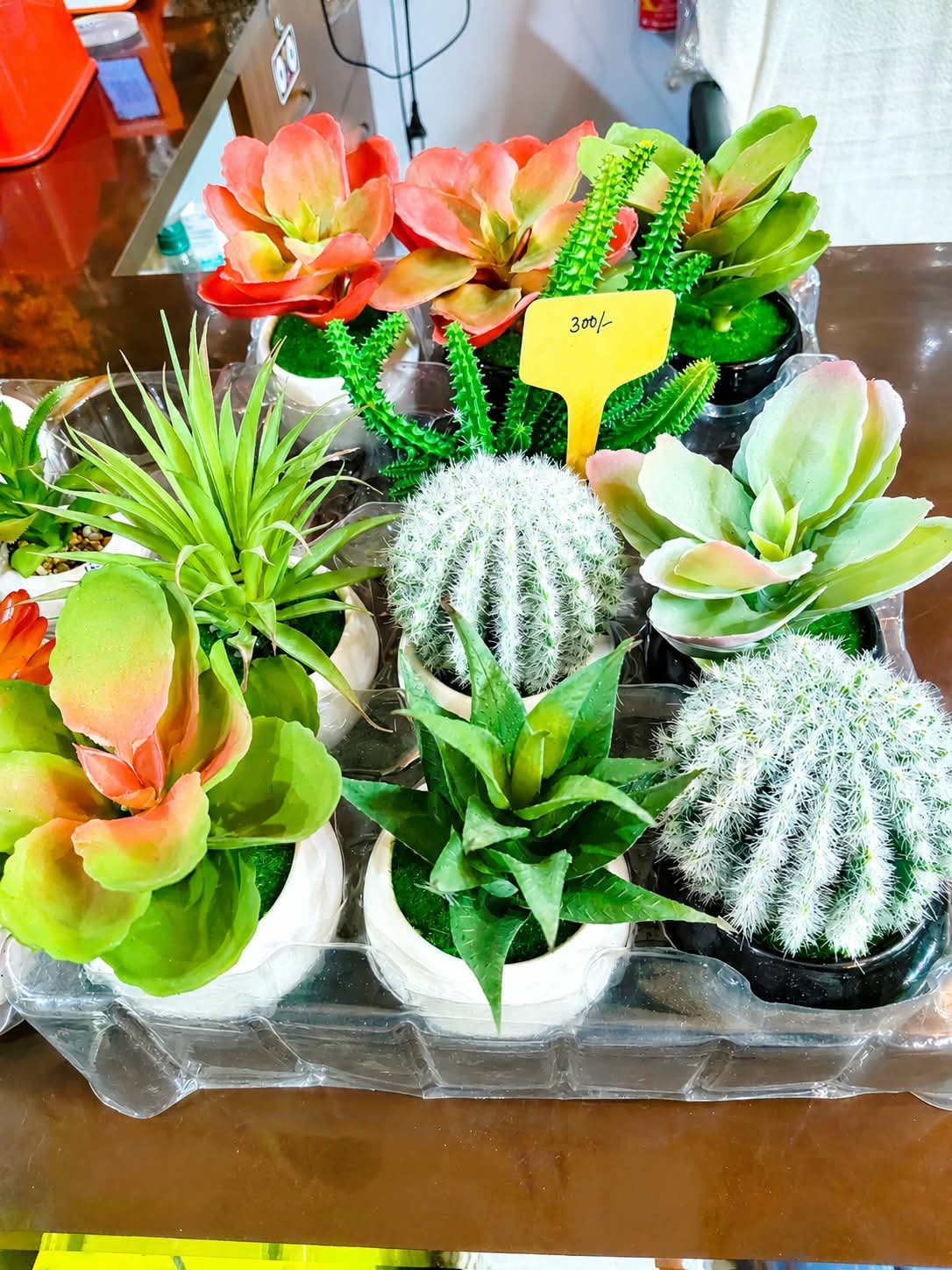Artificial Plants for Home decor